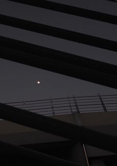 少年団の夜のほう。