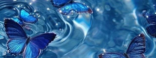 蒼瀬ちゃん　✧.*さんの壁紙画像