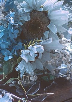 《2j3j》君と あの花が咲く "