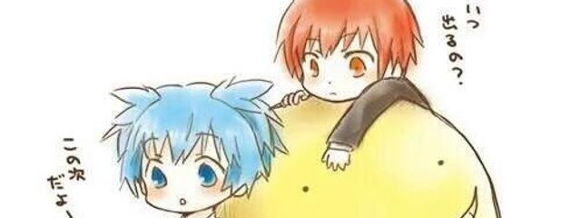 イルカさんの壁紙画像
