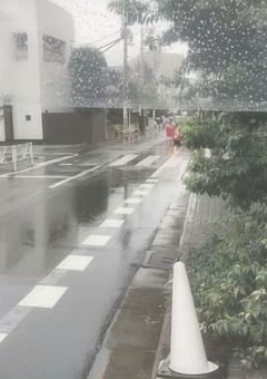 雑 , 絵
