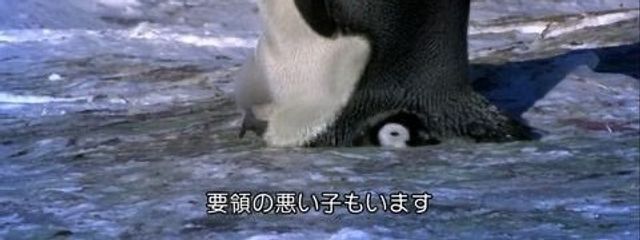 ぐうたらねてる。さんの壁紙画像