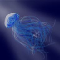 rirunaさんのアイコン画像