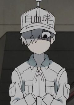 今日も働きます！【はたらく細胞】