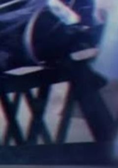 ハ イ ド レ ン ジ ア ─