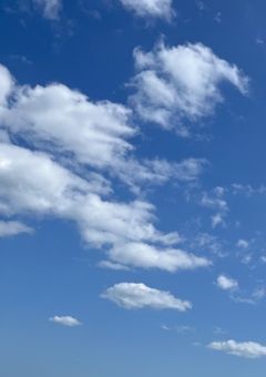 転生した情報屋とは私の事だｯ！！
