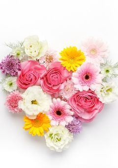 それでも、君が好き。【完結】