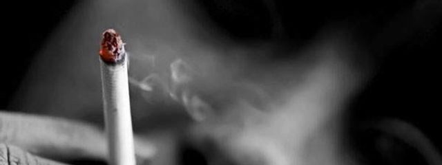 骨盤_低浮さんの壁紙画像