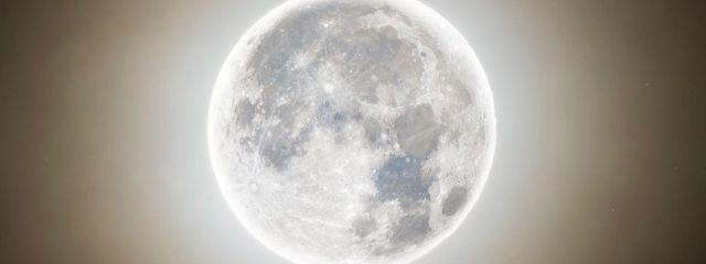 Pelargoさんの壁紙画像