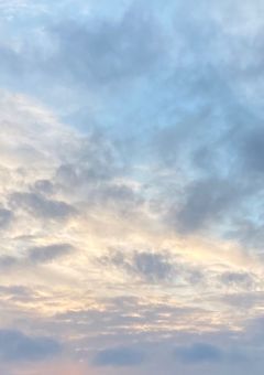 こんにちは、先生