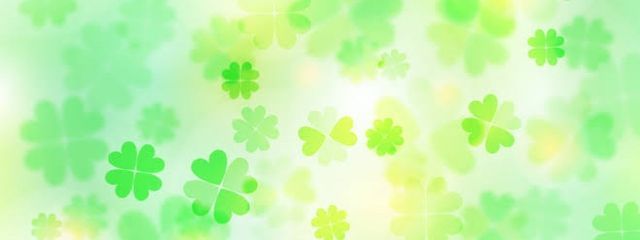 四葉☘️さんの壁紙画像