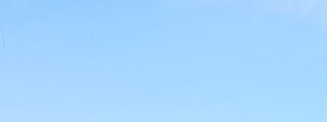 れうさんの壁紙画像