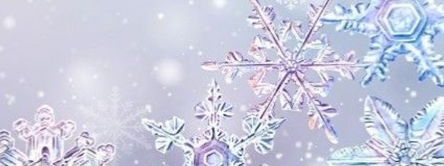 𝙼𝙸𝚈𝚄さんの壁紙画像