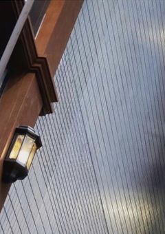 好きになっちゃダメなのに...