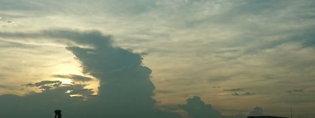 らすくさんの壁紙画像