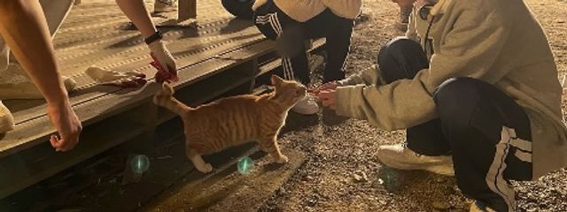 川柳⋆☽·̩͙‪_🐶🧚‍♂️さんの壁紙画像