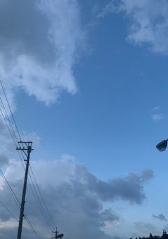 氷のように冷たいあの子