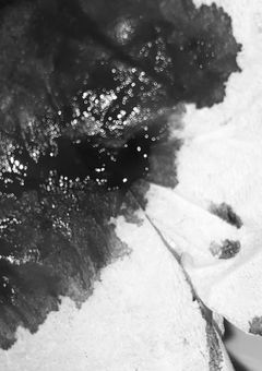 病み部屋🍎♠︎＊(🐿🦟)