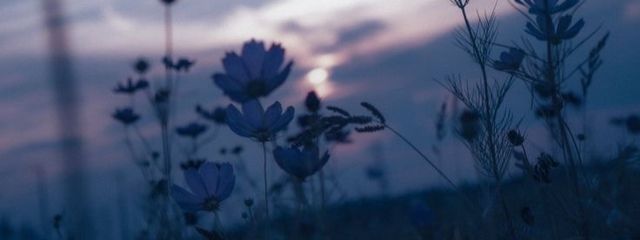 れお。さんの壁紙画像