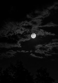 ๏ฝพ๏พ๏พ๏พ๏พ๏ฝณ ๏ฝต๏พ๏ฝบ๏พ๏ฝฏ๏ฝบ