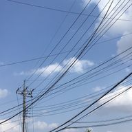 アンモニアさんのアイコン画像