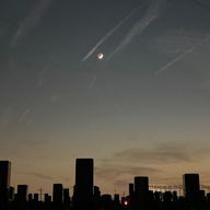 狐夜［コヨ］🌉🦊さんのアイコン画像