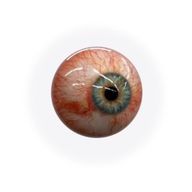 文豪たわしさんのアイコン画像