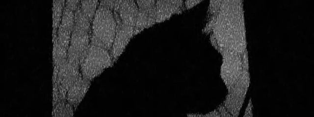 ボーさんの壁紙画像