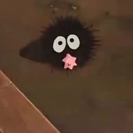 🌟さんのアイコン画像