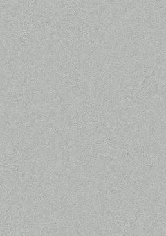 軍に入った理由