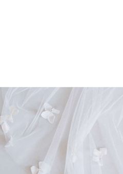 好きになるわけない！！