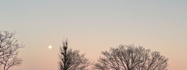 ゆるゆるさんの壁紙画像