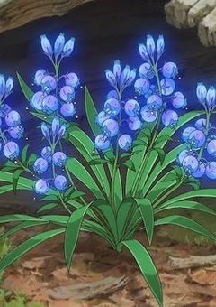 ツイステッドワンダーランド