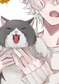 ふわふわにんじゃさんの妹、ライバーデビューするらしい