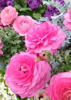 特級より更に上の結界師。