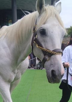 大学生医学部の生き方