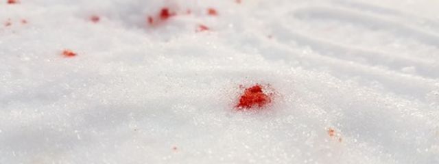 桜 美鈴@𝕊𝔸𝕂𝕌ℝ𝔸 𝕄𝕀𝕊𝕌ℤ𝕌さんの壁紙画像