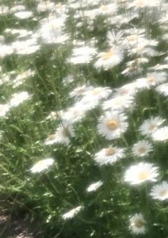 ウルドのツンデレ