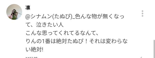 たぬぴ＿#おやすみなさい#凛ちゃんまってるよさんの壁紙画像