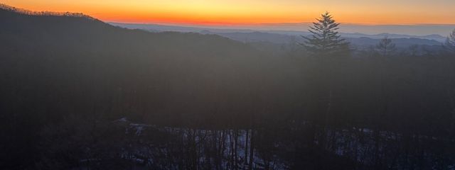 Reinaさんの壁紙画像