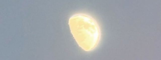 🍏さんの壁紙画像
