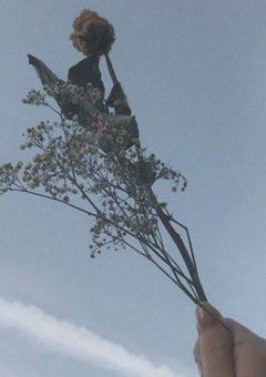 　ならばおさらば