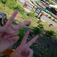 Rimoさんのアイコン画像