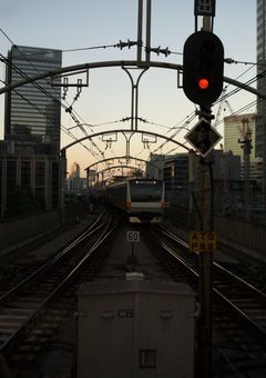 掲示板・アンケート
