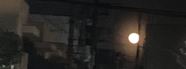 ぐらたんさんの壁紙画像