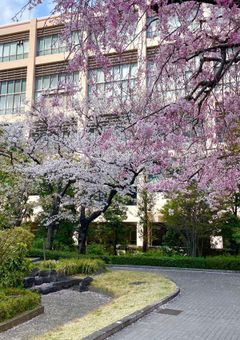 ๆกใ็ถบ้บใงใใญ