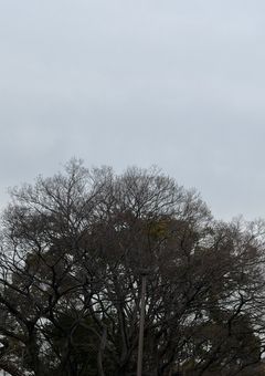 腐女子はモテモテ？！