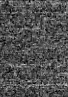 この不条理に神罰を