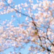 花純🌙さんのアイコン画像