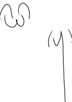 とりま初投稿、イラストを載っける